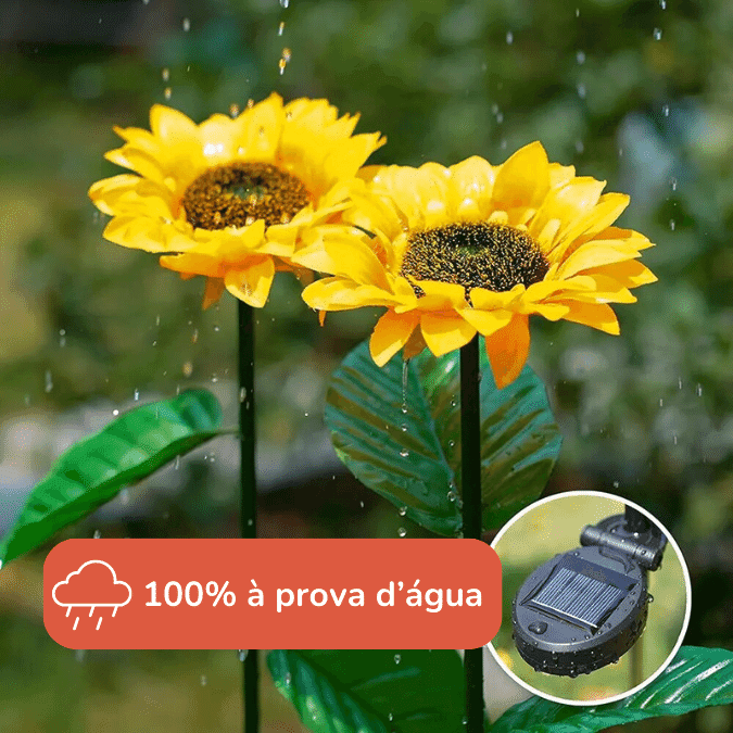 Girassol Led Energia Solar - SolGarden - ProntoPraTi